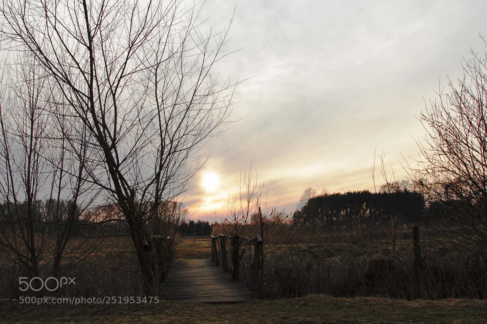 Canon EOS 60D sample photo. Untitled photography