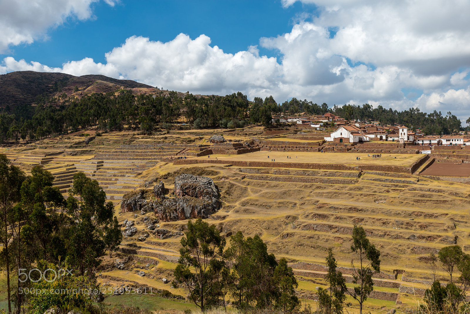 Nikon D610 sample photo. The heights of the photography