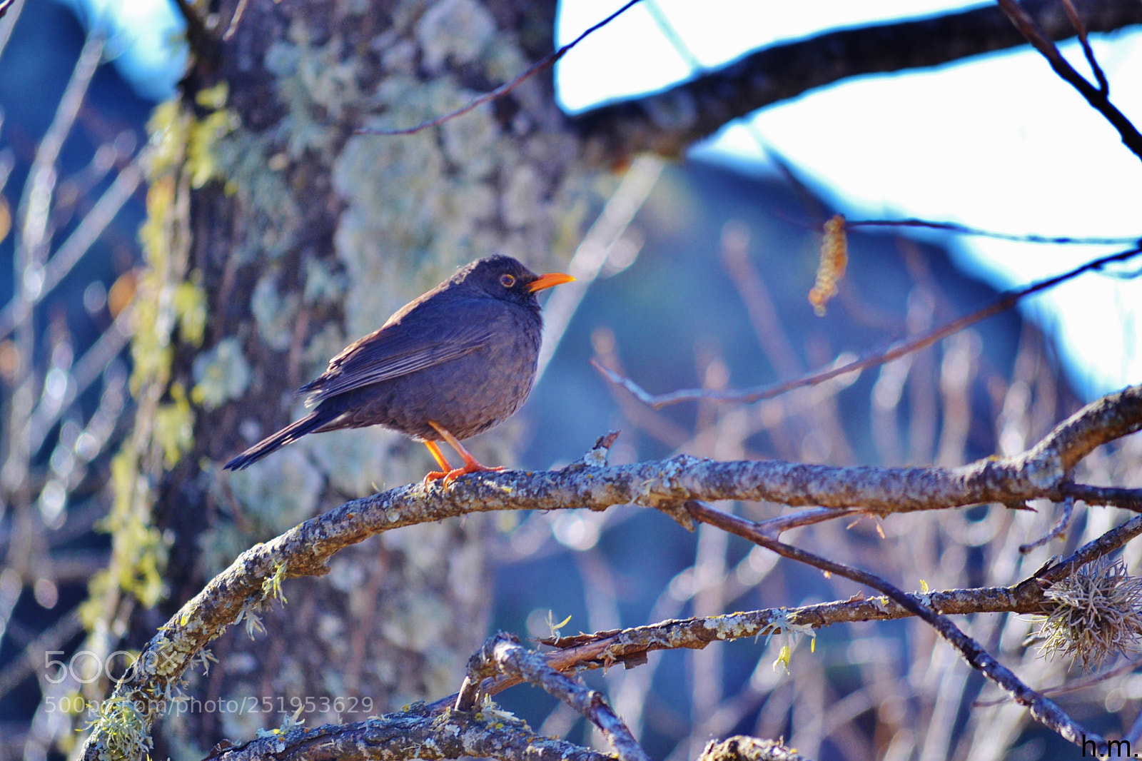 Nikon D3100 sample photo. Dcbo photography