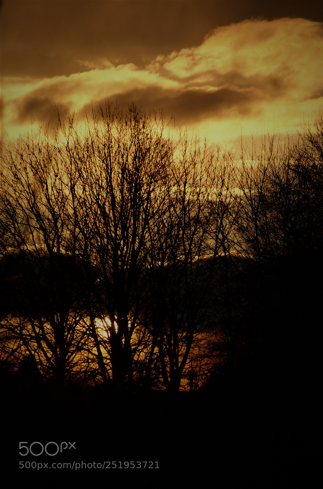 Nikon D5100 sample photo. Hidden sun photography