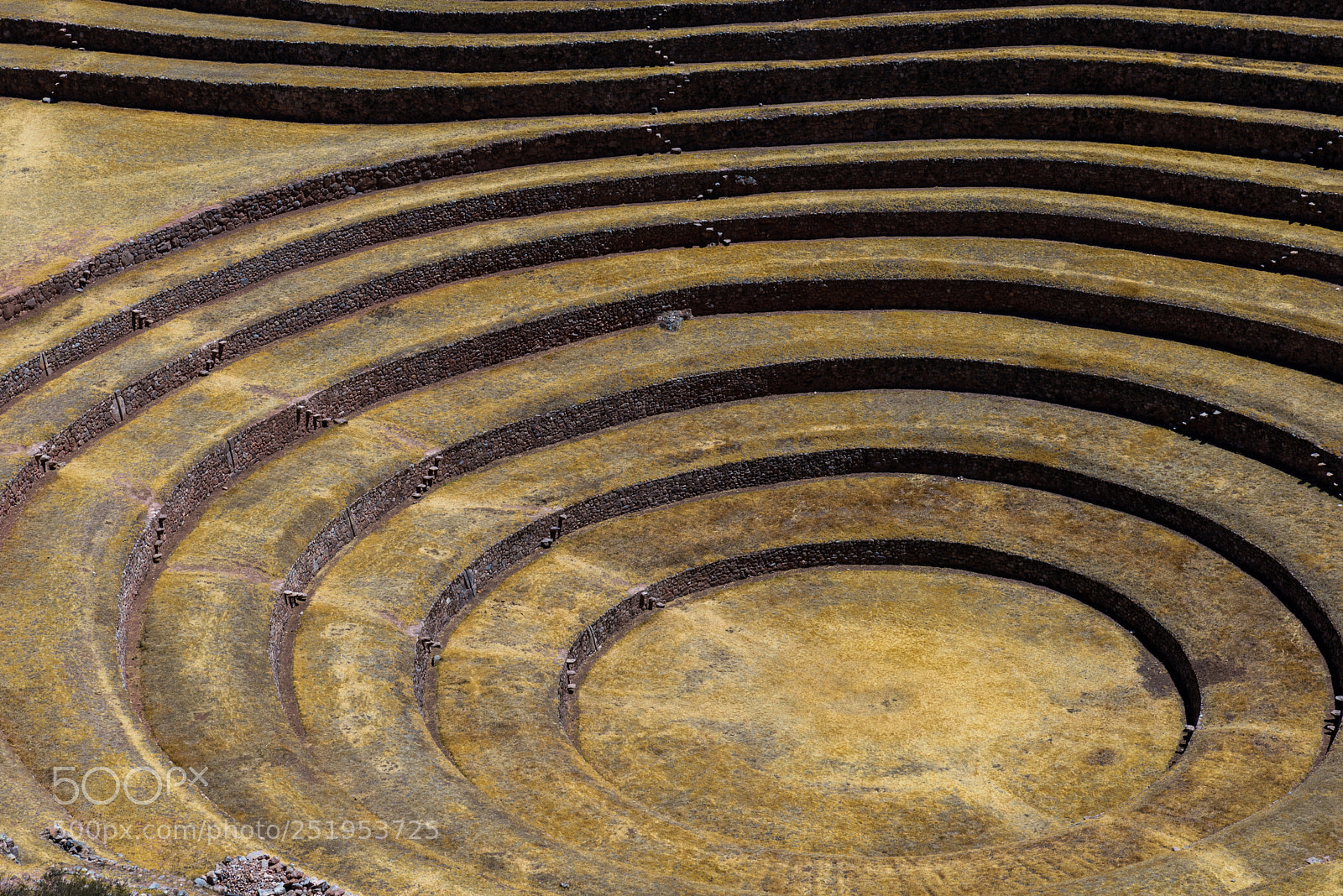 Nikon D610 sample photo. The heights of the photography