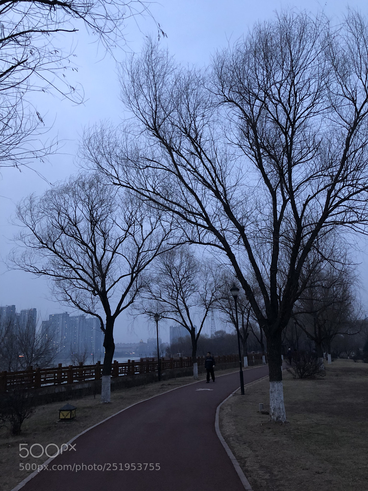 Apple iPhone X sample photo. Walk the bend at photography