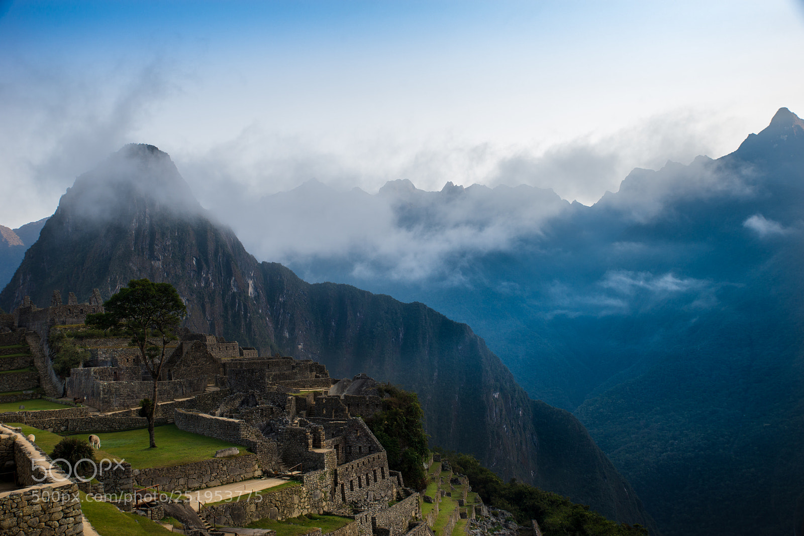 Nikon D610 sample photo. The heights of the photography