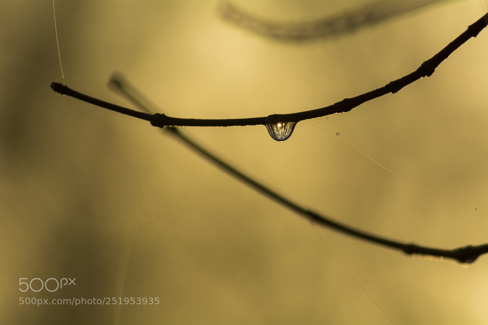 Nikon D7100 sample photo. Sunrise in the drop photography