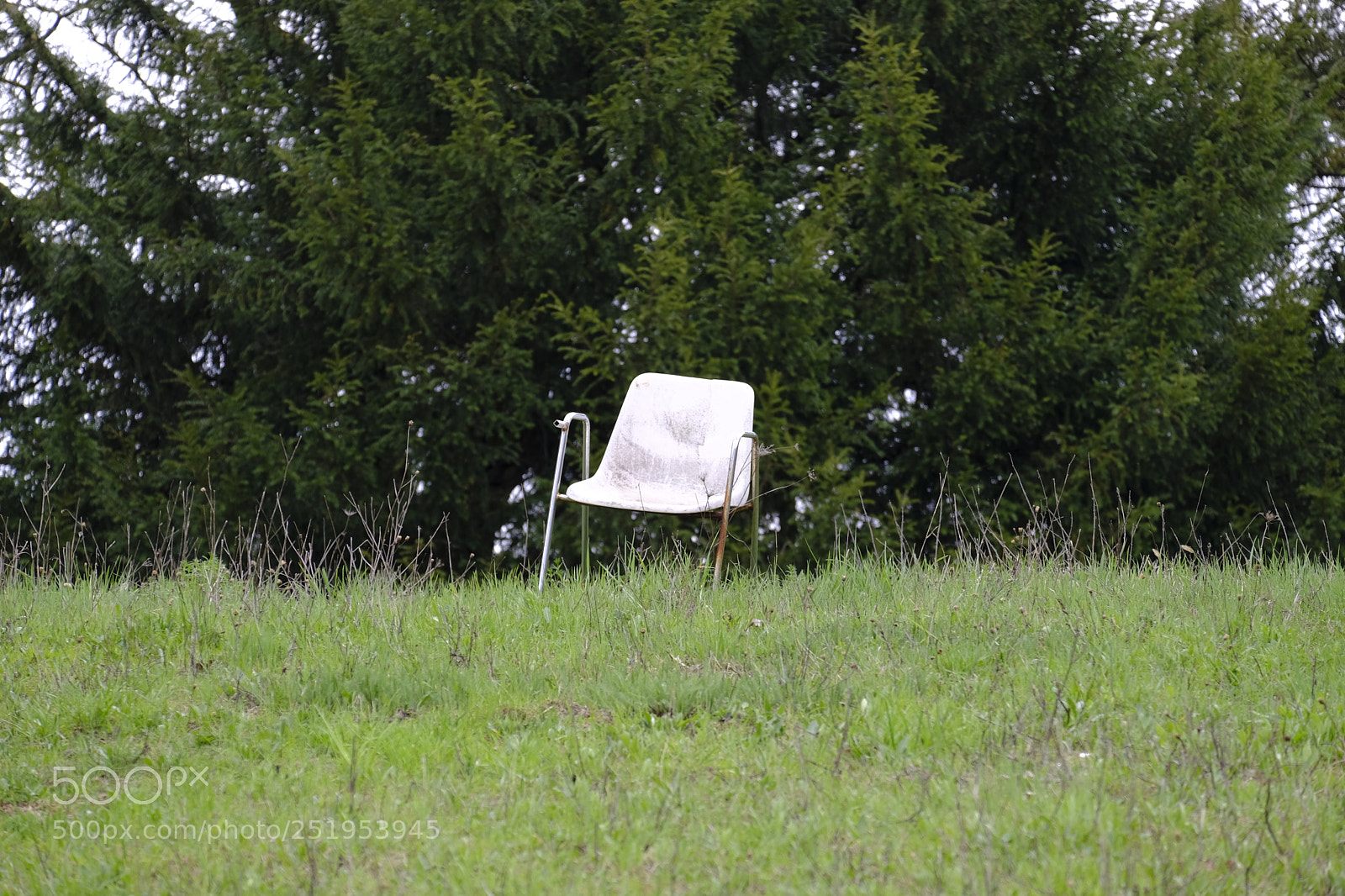 Fujifilm X-E3 sample photo. Sit down and learn... photography
