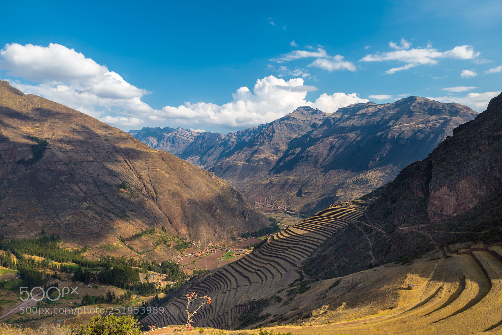 Nikon D610 sample photo. The heights of the photography