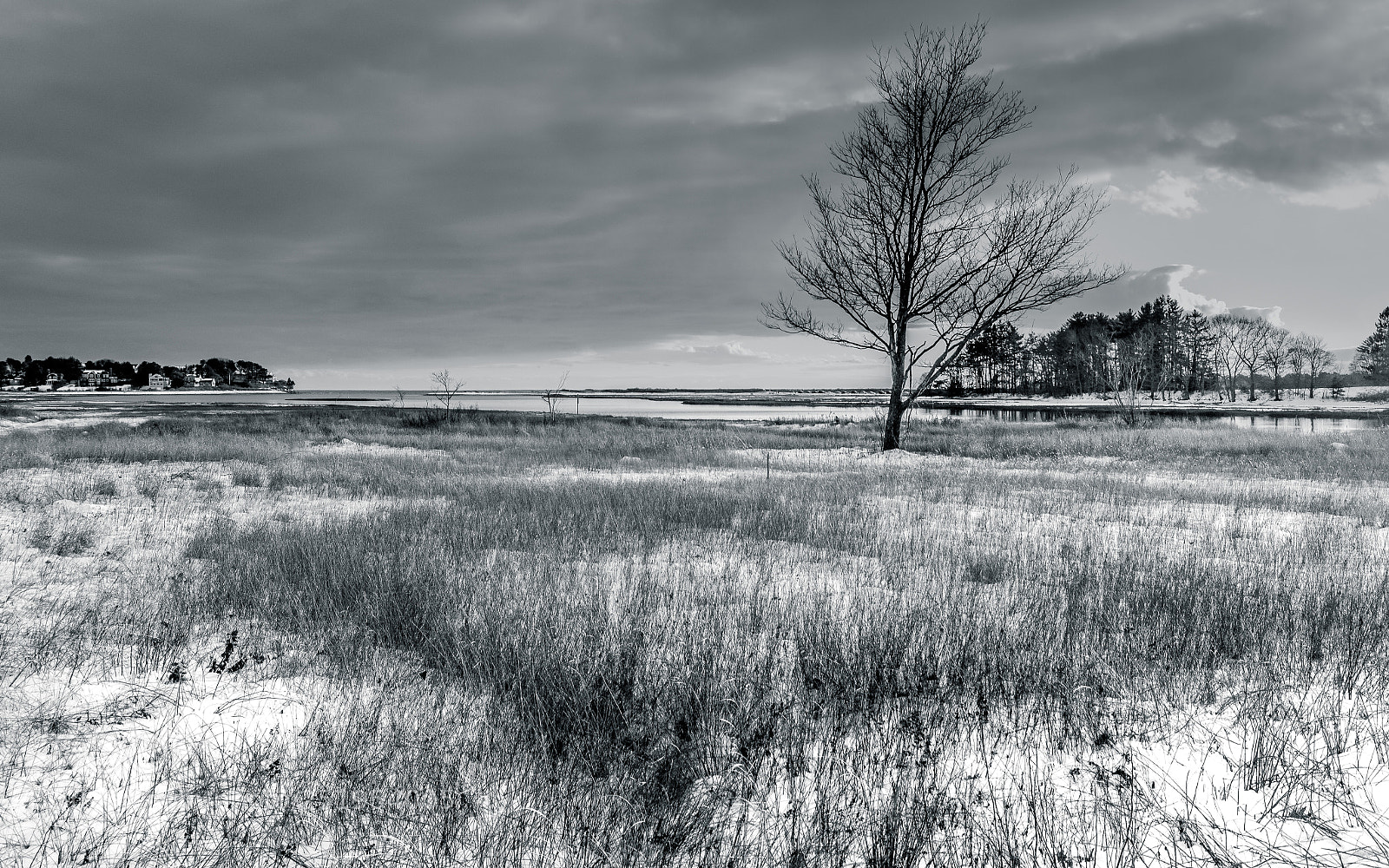 Pentax K-3 sample photo. Winter marsh photography