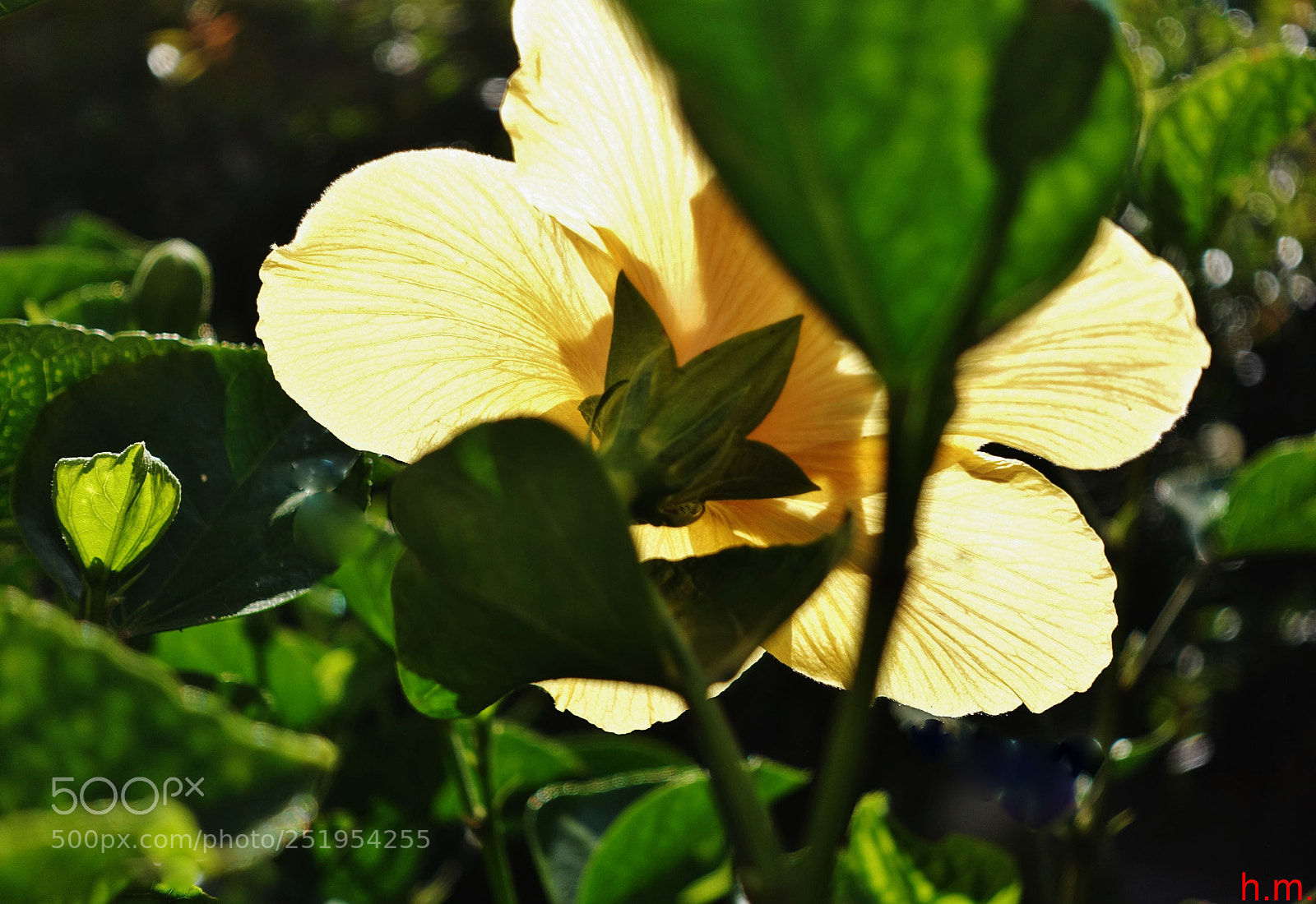Sony Cyber-shot DSC-RX100 III sample photo. Acco () photography
