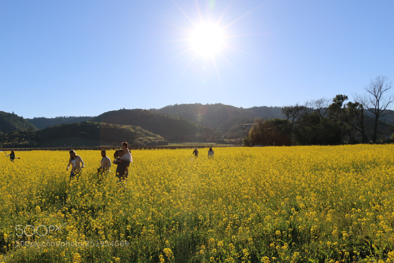 Canon EOS 70D sample photo. Untitled photography