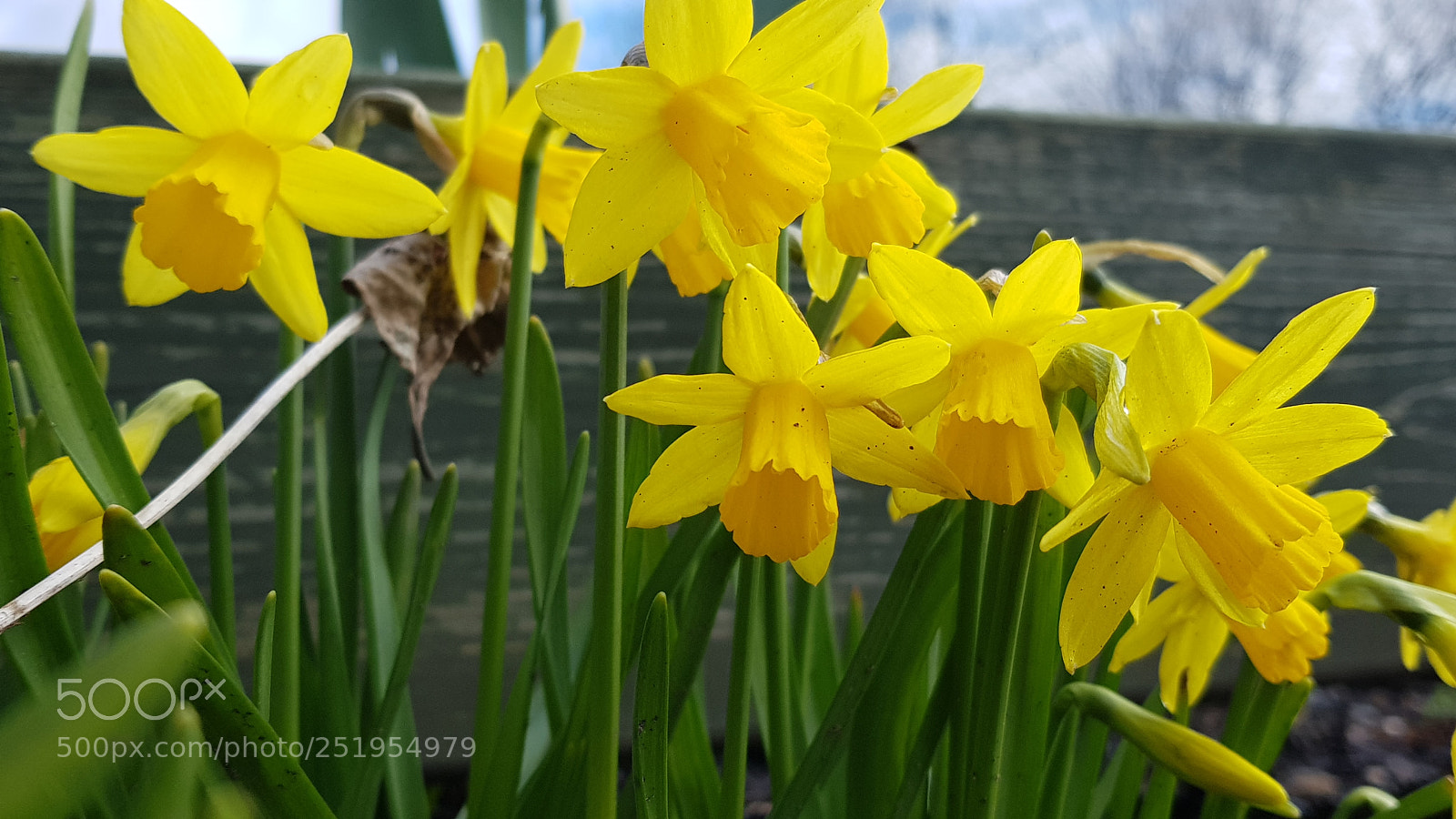 Samsung Galaxy S8 sample photo. Untitled photography