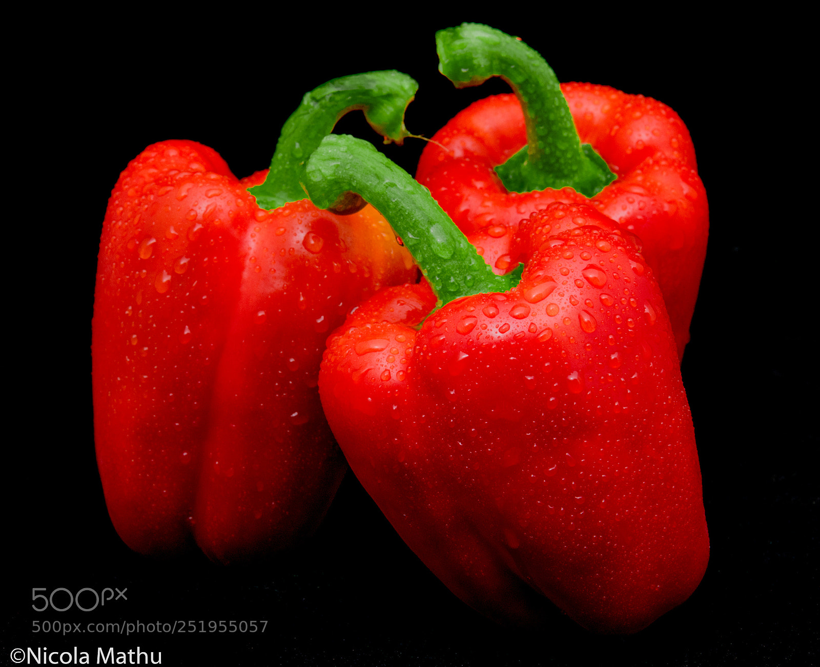 Nikon D5300 sample photo. Paprika's photography