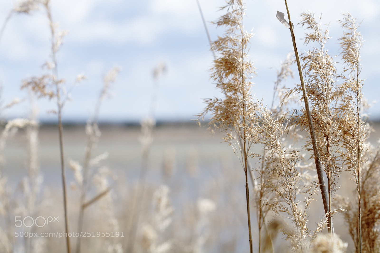 Canon EOS 750D (EOS Rebel T6i / EOS Kiss X8i) sample photo. A la orilla de photography