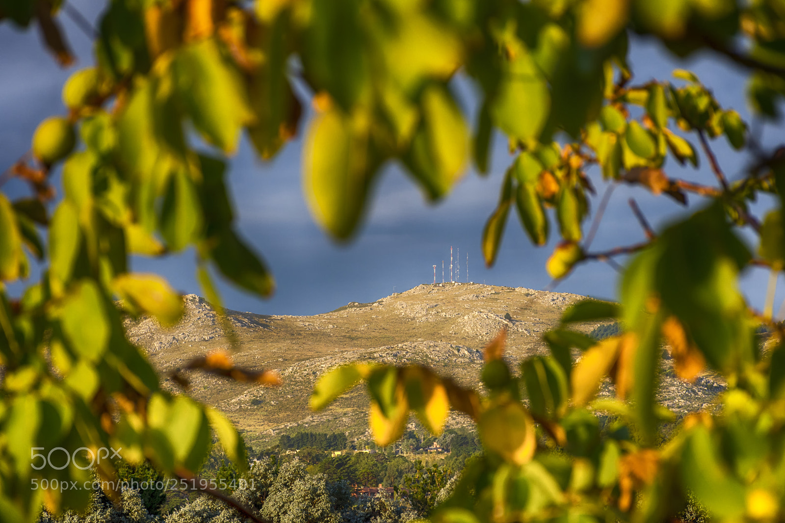 Nikon D7200 sample photo. Among trees photography