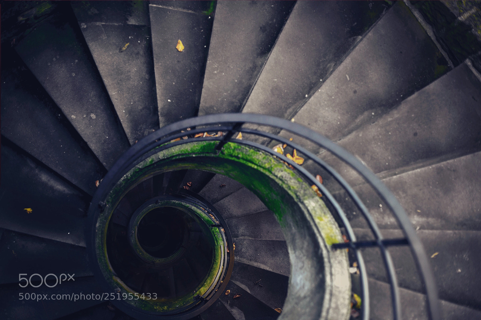 Nikon D610 sample photo. Swirls around photography