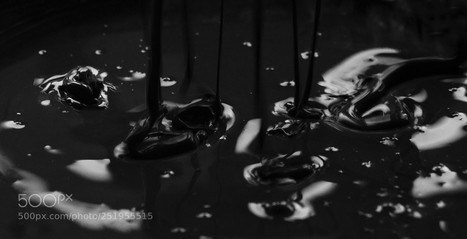 Nikon D5100 sample photo. Essence photography