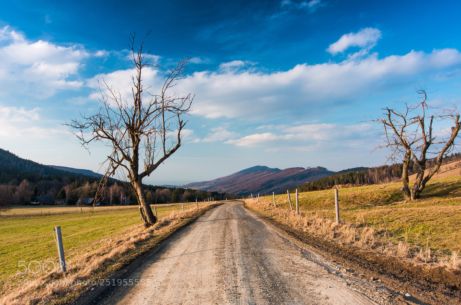 Pentax K-5 II sample photo. Road in czech mountains photography