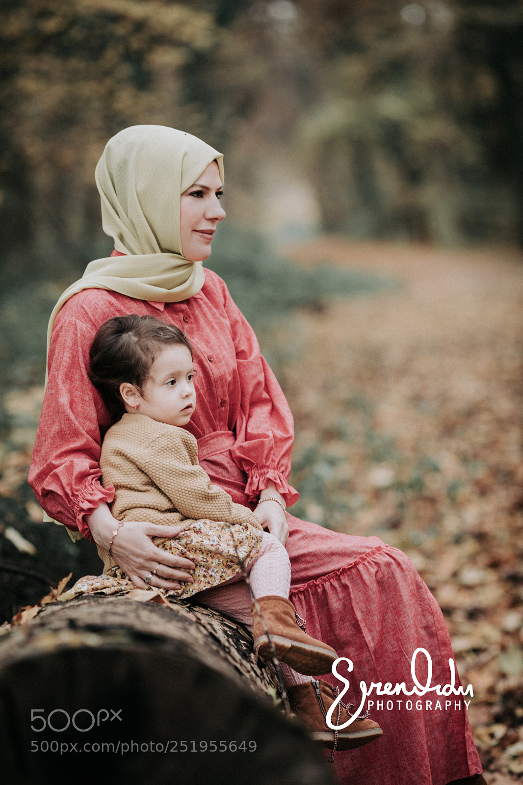 Canon EOS 5D Mark IV sample photo. Untitled photography