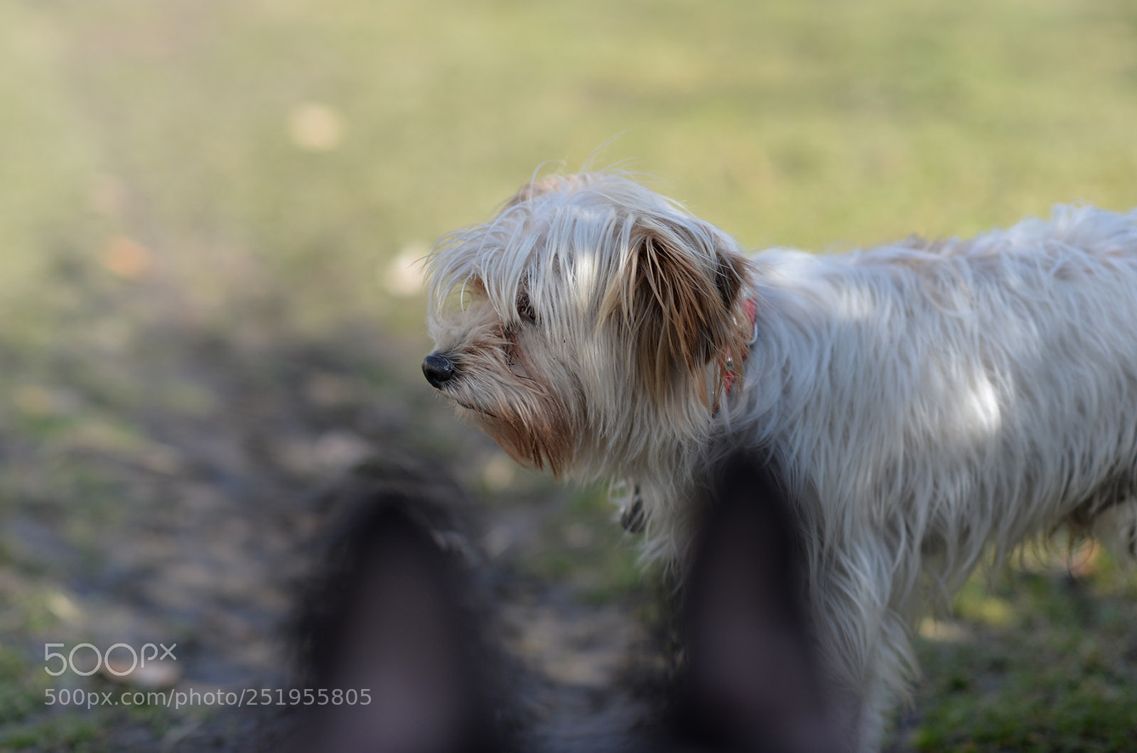 Nikon Df sample photo. Ofina photography