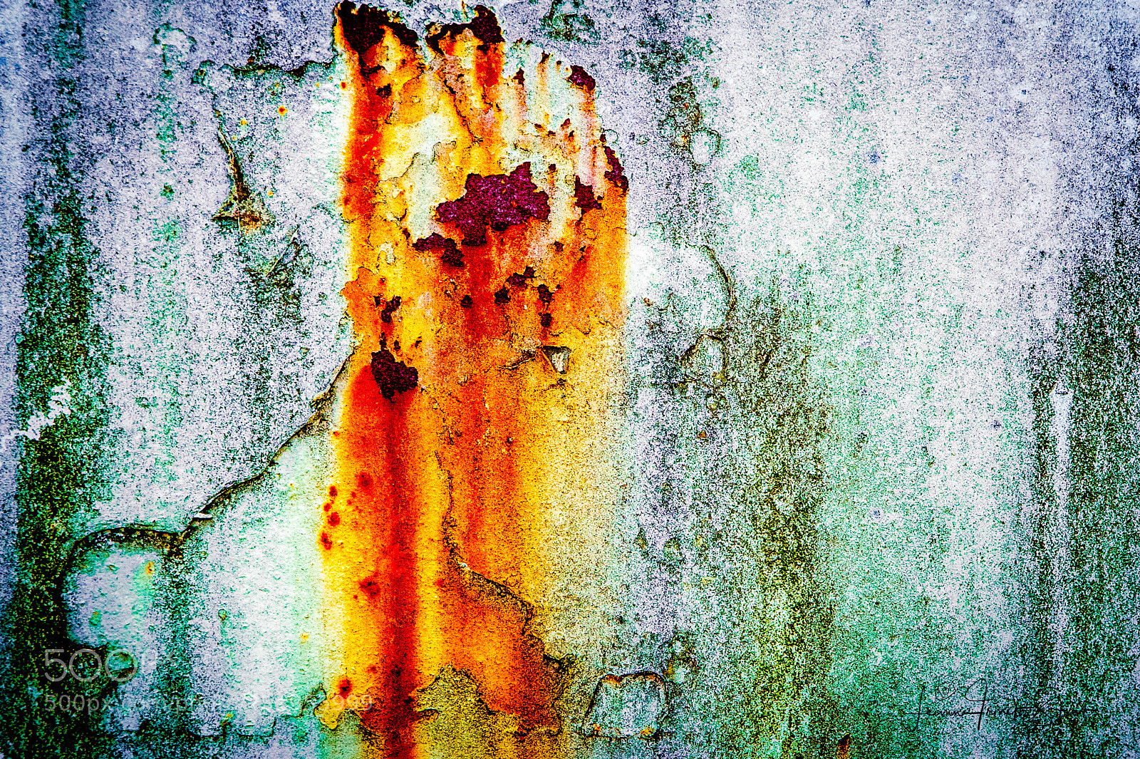 Canon EOS-1D X Mark II sample photo. Rust you photography