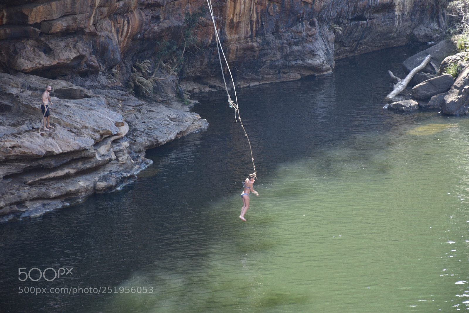 Nikon D5600 sample photo. Untitled photography