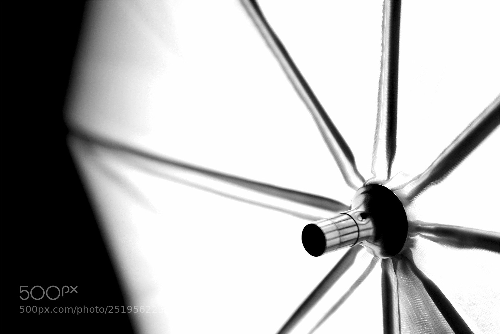 Canon EOS 7D sample photo. Copy photography