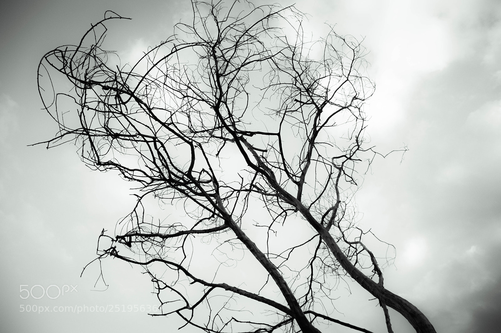 Nikon D3200 sample photo. Untitled photography