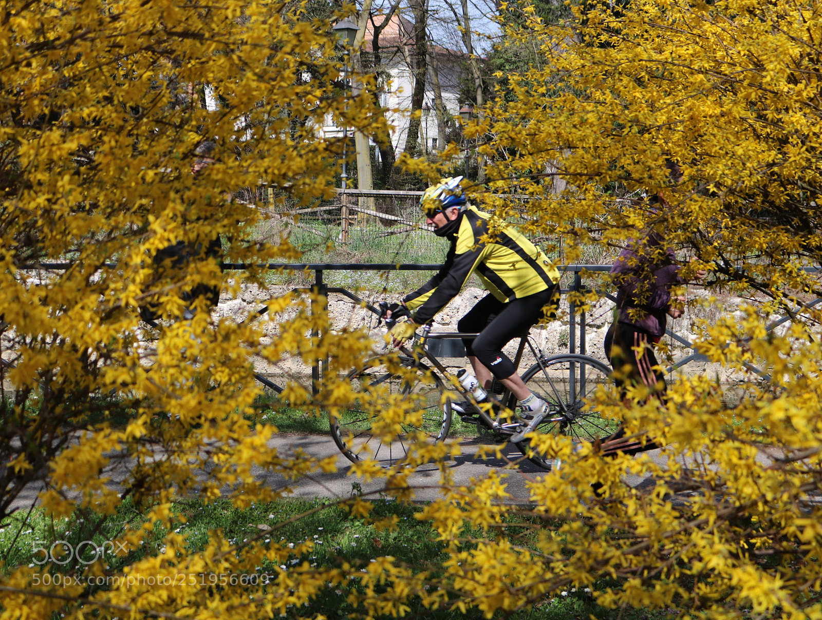 Canon EOS 750D (EOS Rebel T6i / EOS Kiss X8i) sample photo. Total yellow photography