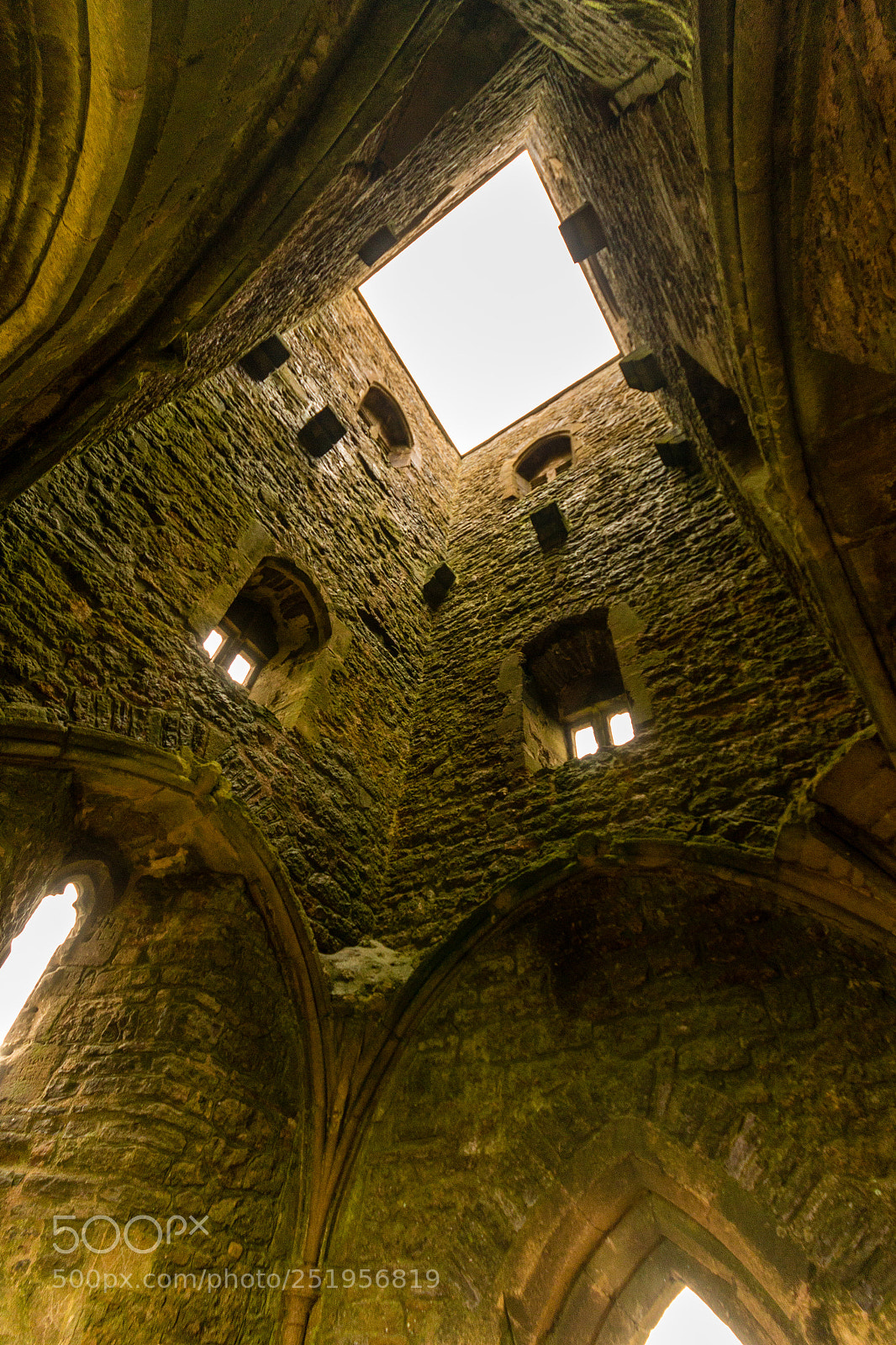 Canon EOS 70D sample photo. Looking up st michaels photography