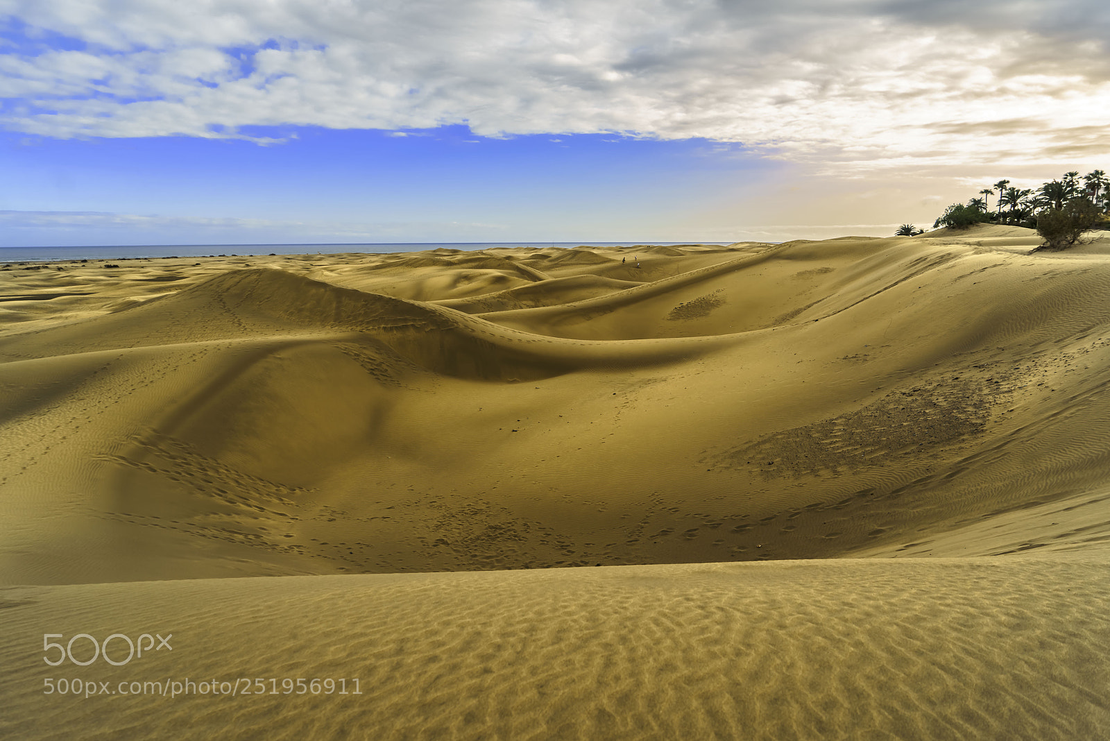 Sony a7R sample photo. Dunas de maspalomas photography