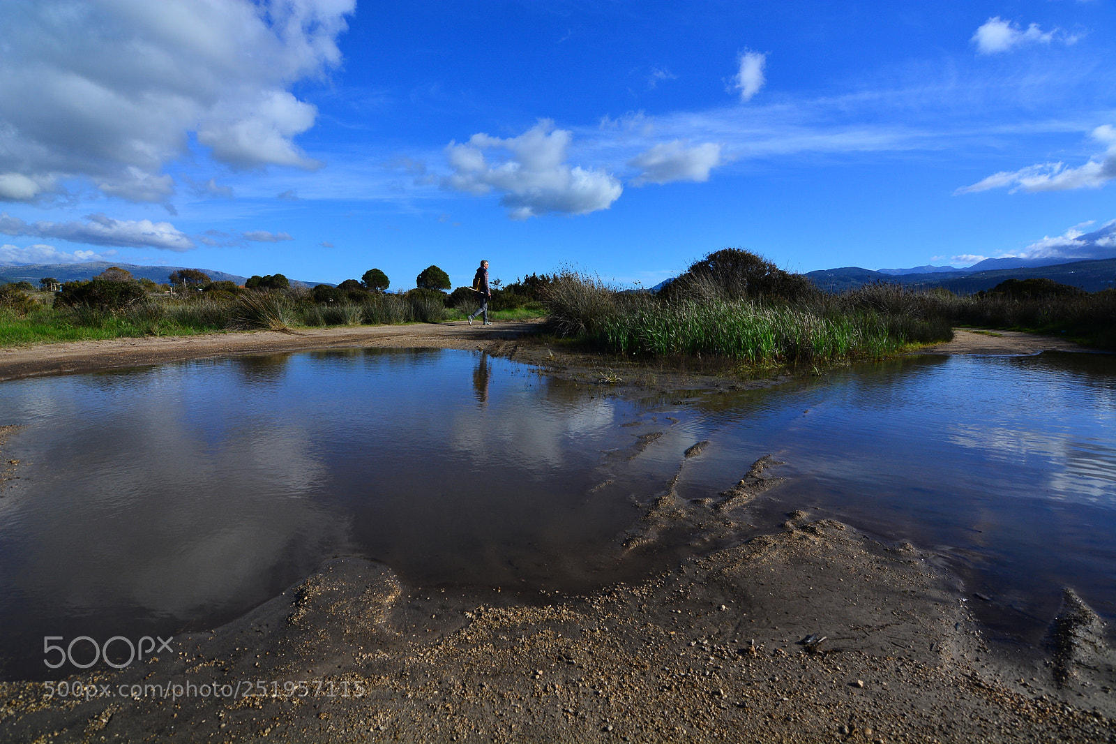 Nikon D5200 sample photo. L105 photography