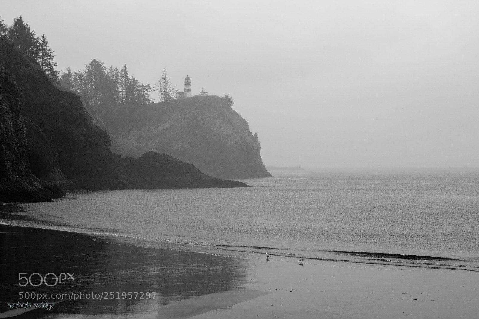 Canon EOS 600D (Rebel EOS T3i / EOS Kiss X5) sample photo. Cape disappointment lighthouse photography