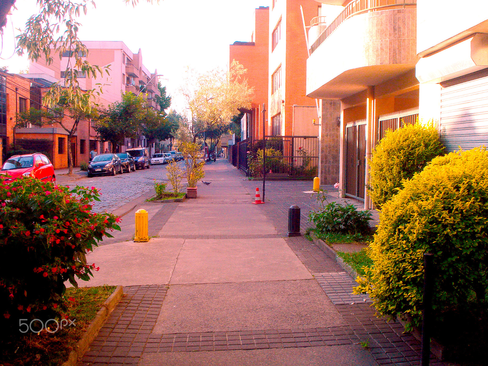 Sony DSC-W55 sample photo. Pink streets. photography
