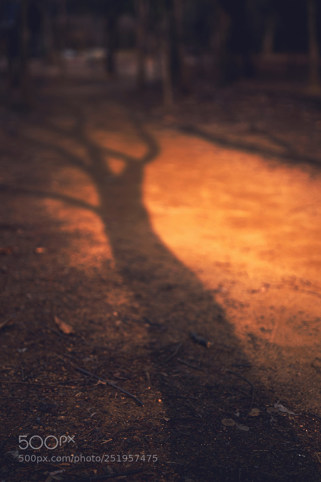 Sony a9 sample photo. A shape photography