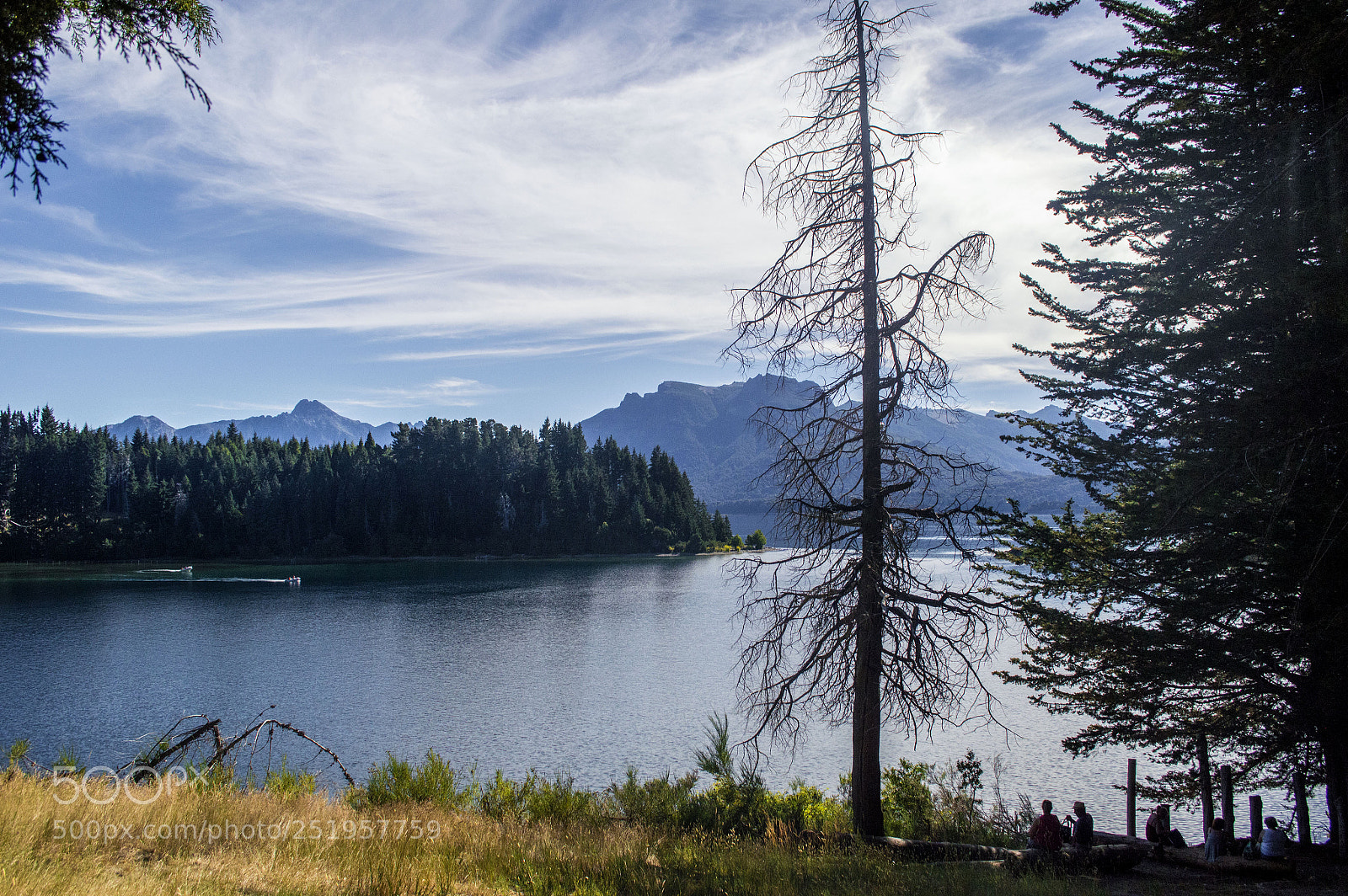 Nikon D3200 sample photo. Isla victoria, bariloche, patagonia photography