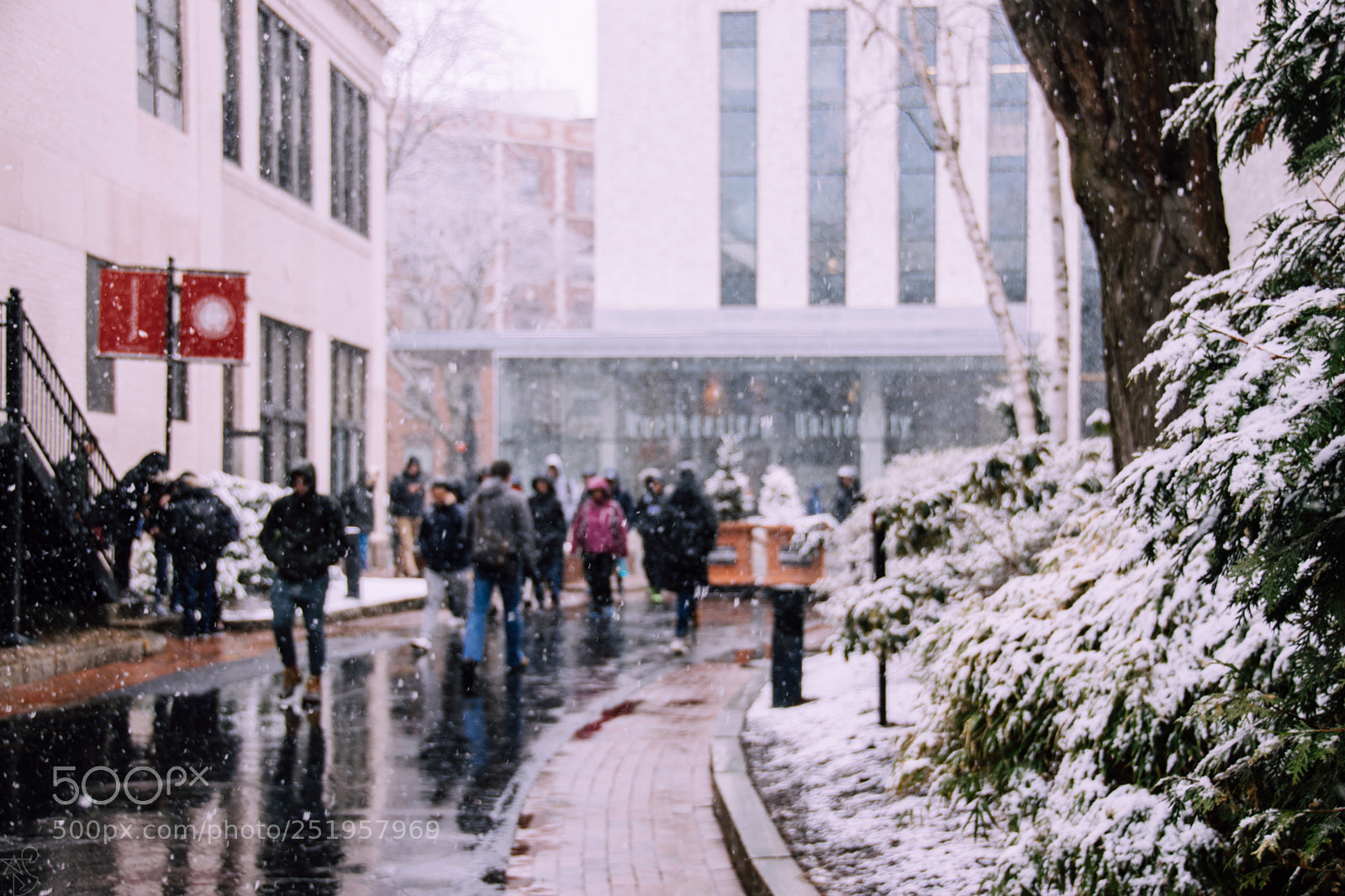 Nikon D3300 sample photo. Spring snow photography
