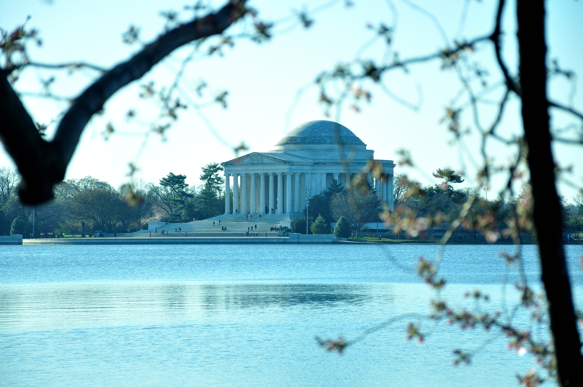 Nikon D90 sample photo. Morning light photography