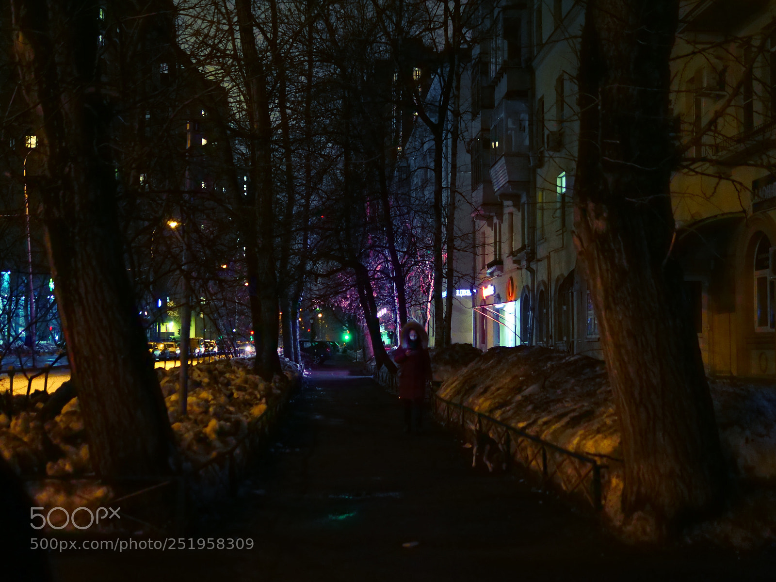 Panasonic Lumix DC-G9 sample photo. Untitled photography