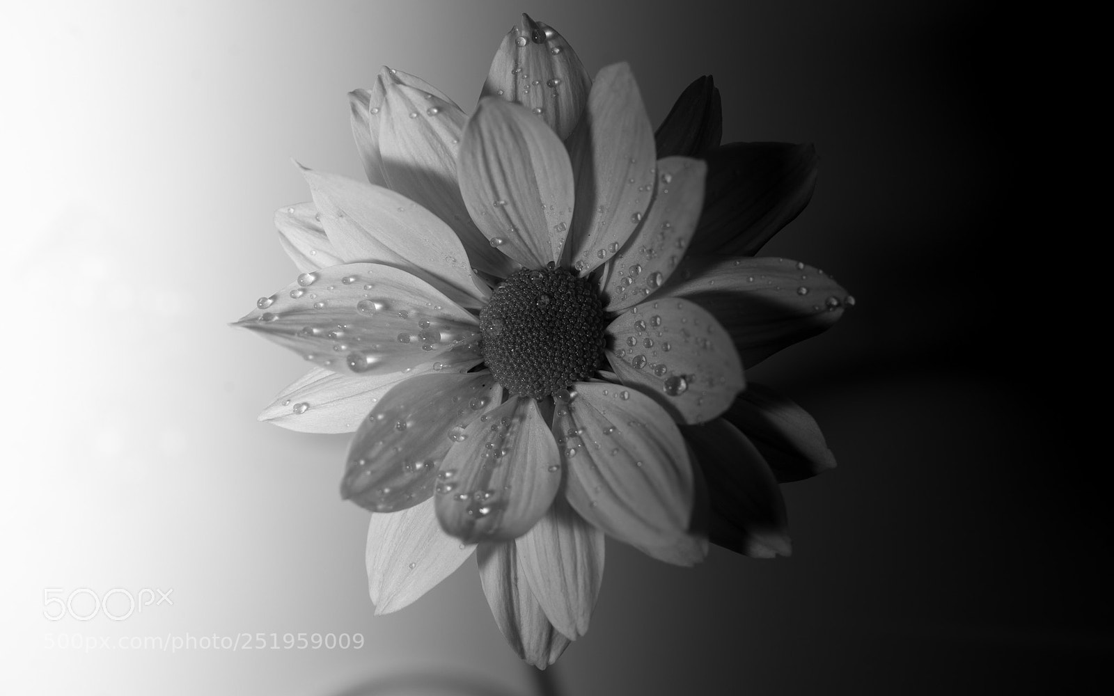 Nikon D610 sample photo. ?  photography