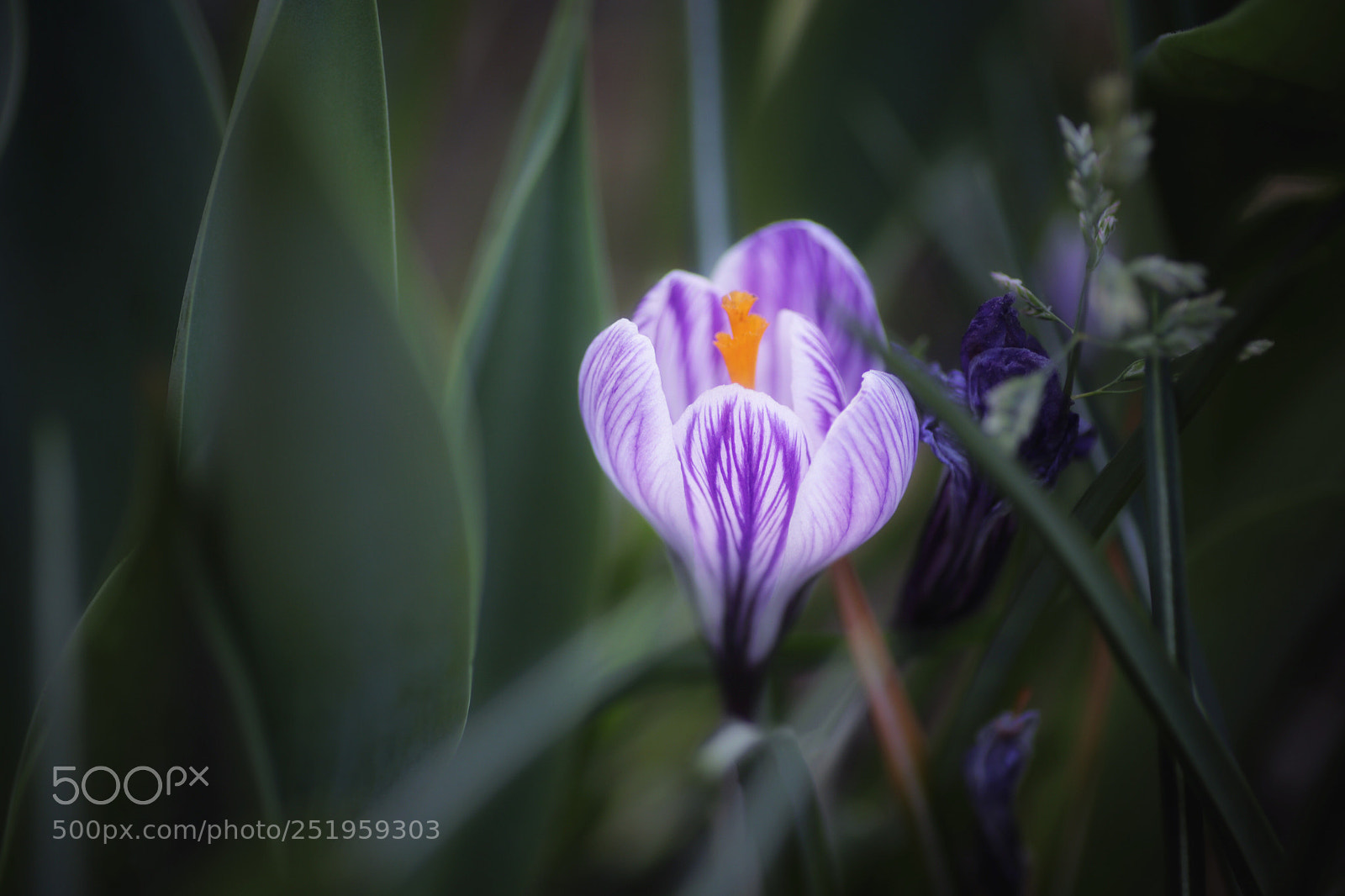 Canon EOS 80D sample photo. Untitled photography