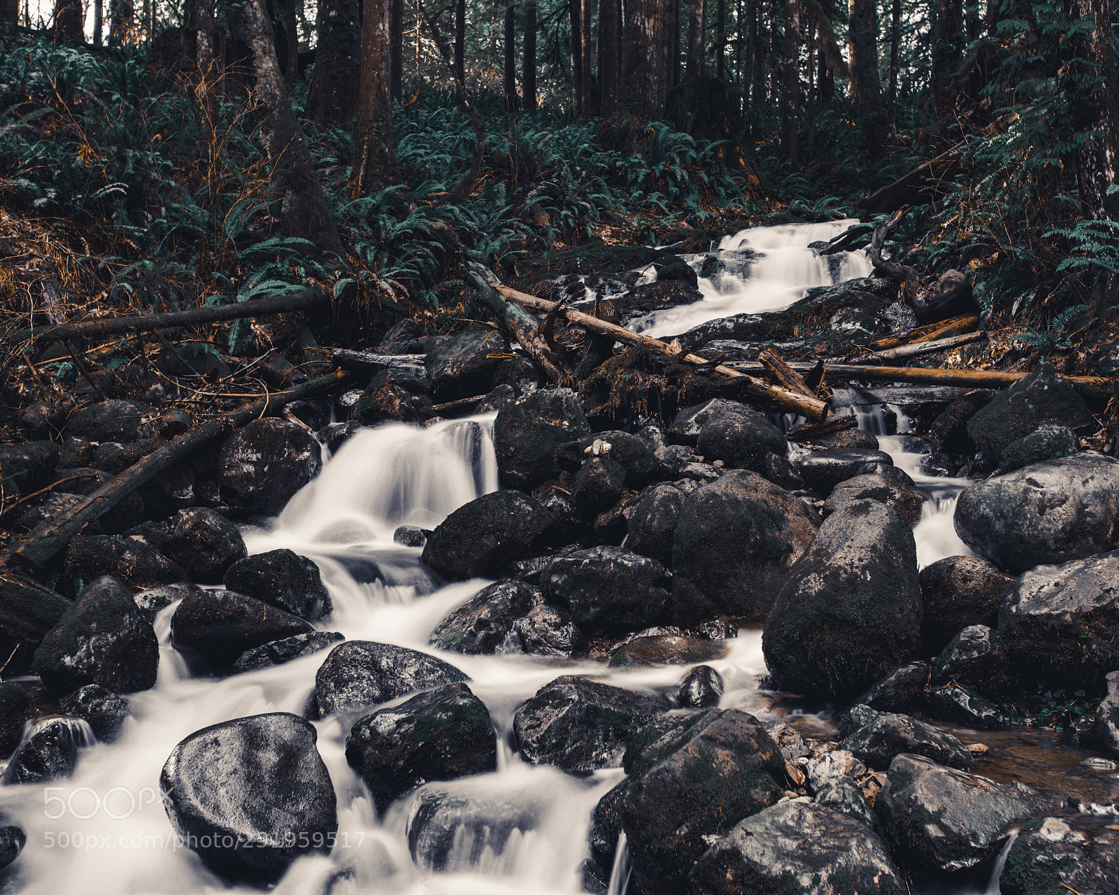 Canon EOS 5D Mark IV sample photo. Waterfalls  photography