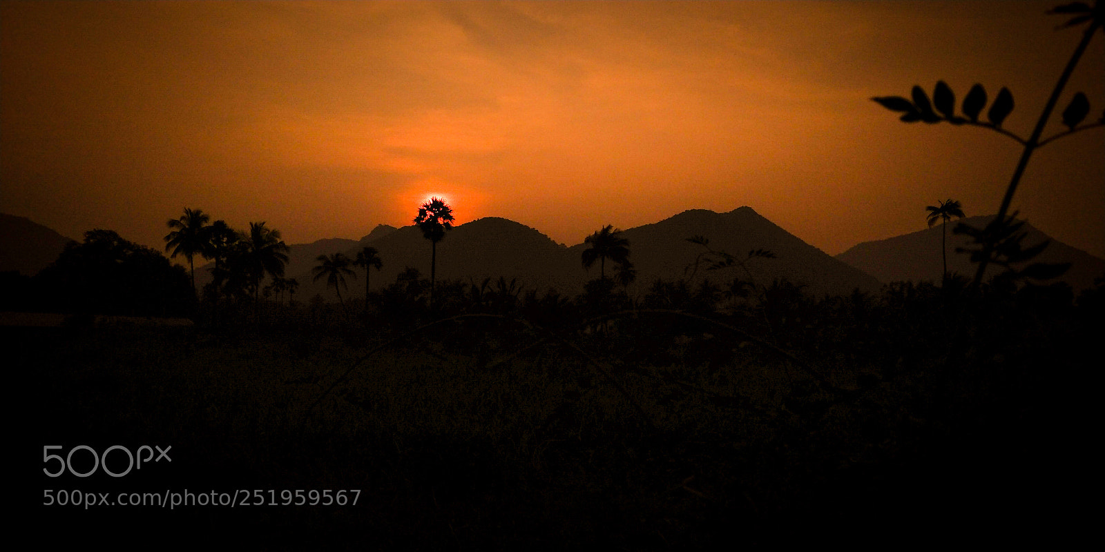 OnePlus 5T sample photo. Lovely sunset photography