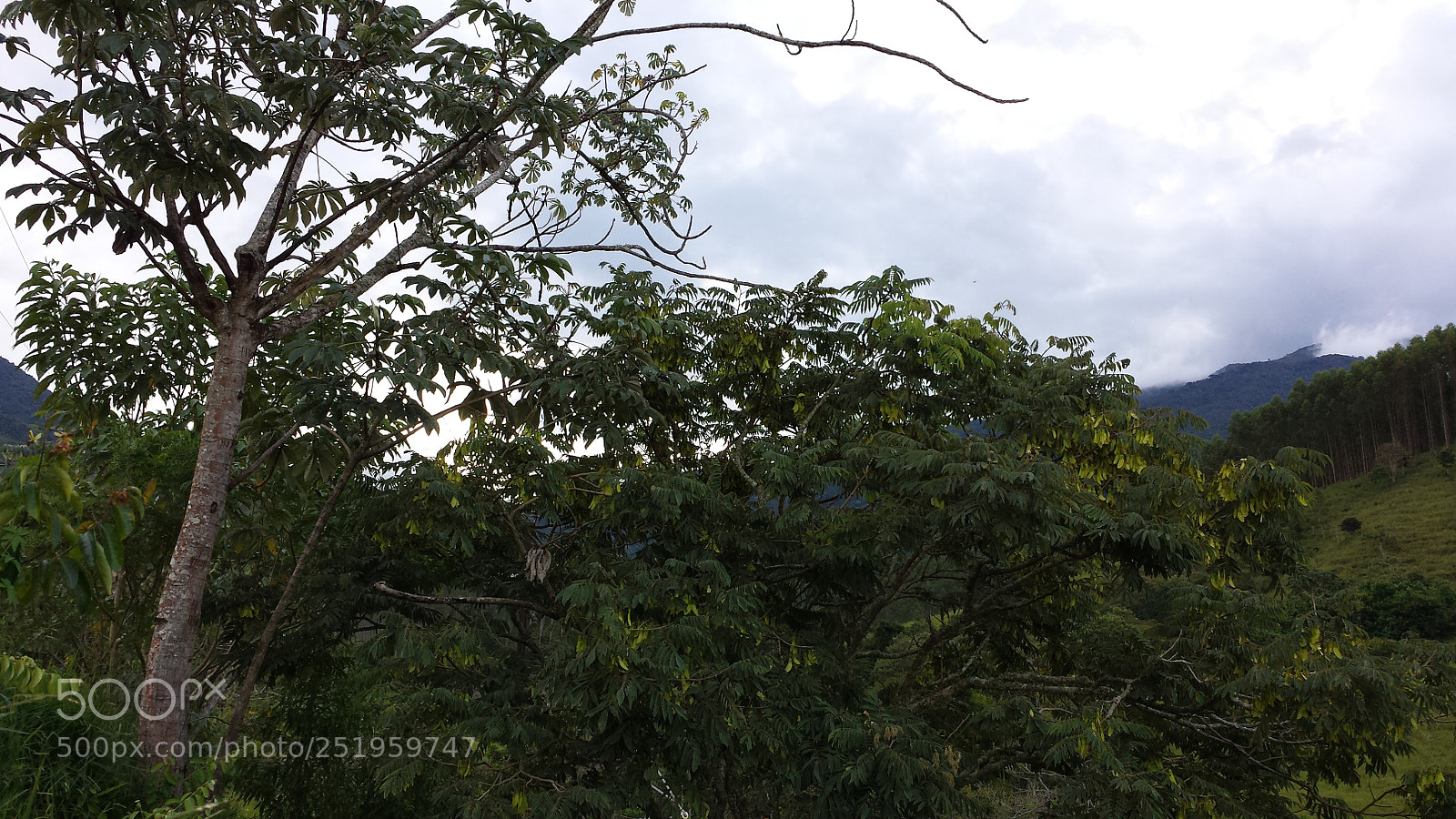 Samsung Galaxy S4 sample photo. Untitled photography