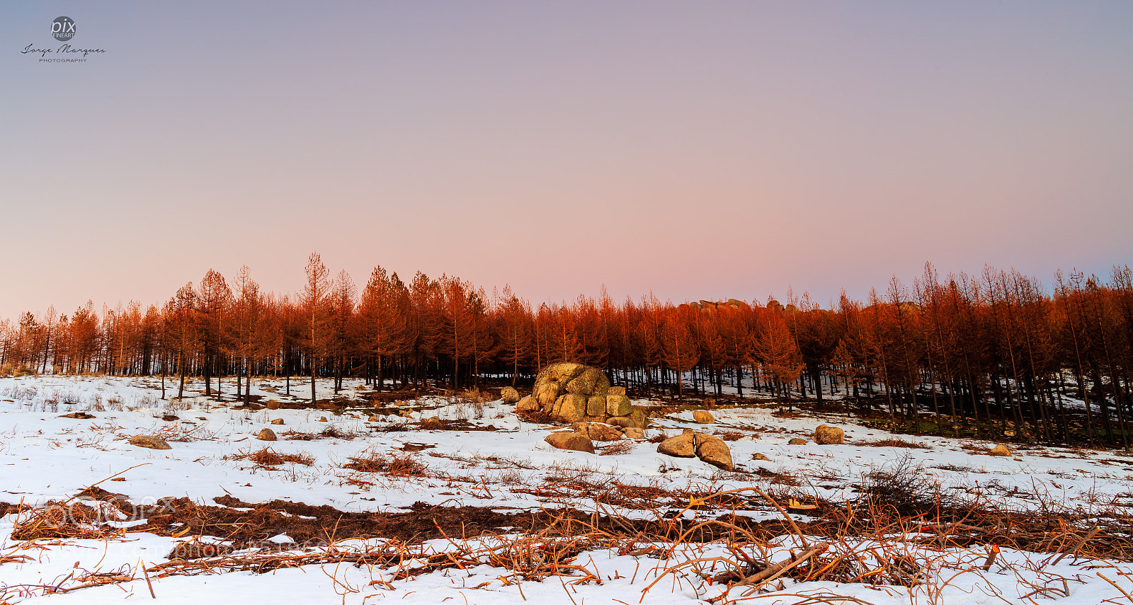 Canon EOS 5DS sample photo. Lan0181 photography
