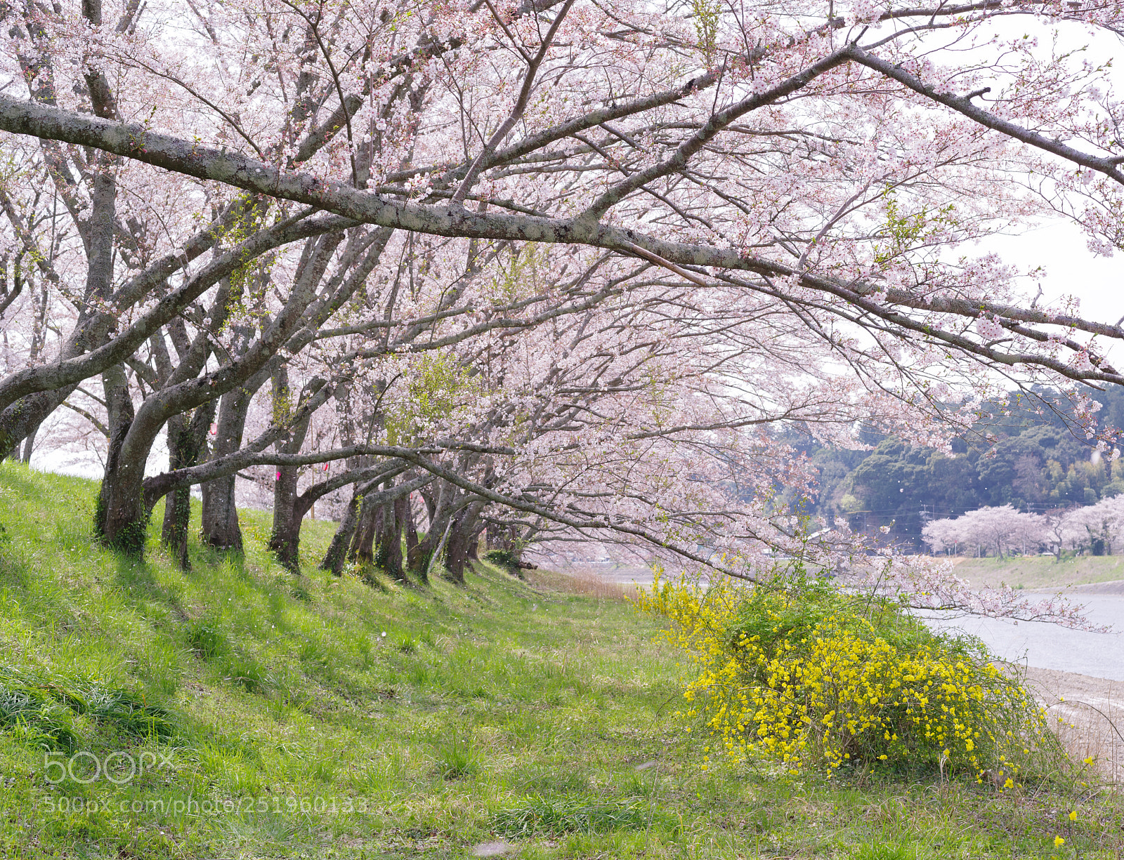 Pentax K-1 sample photo. Untitled1 photography