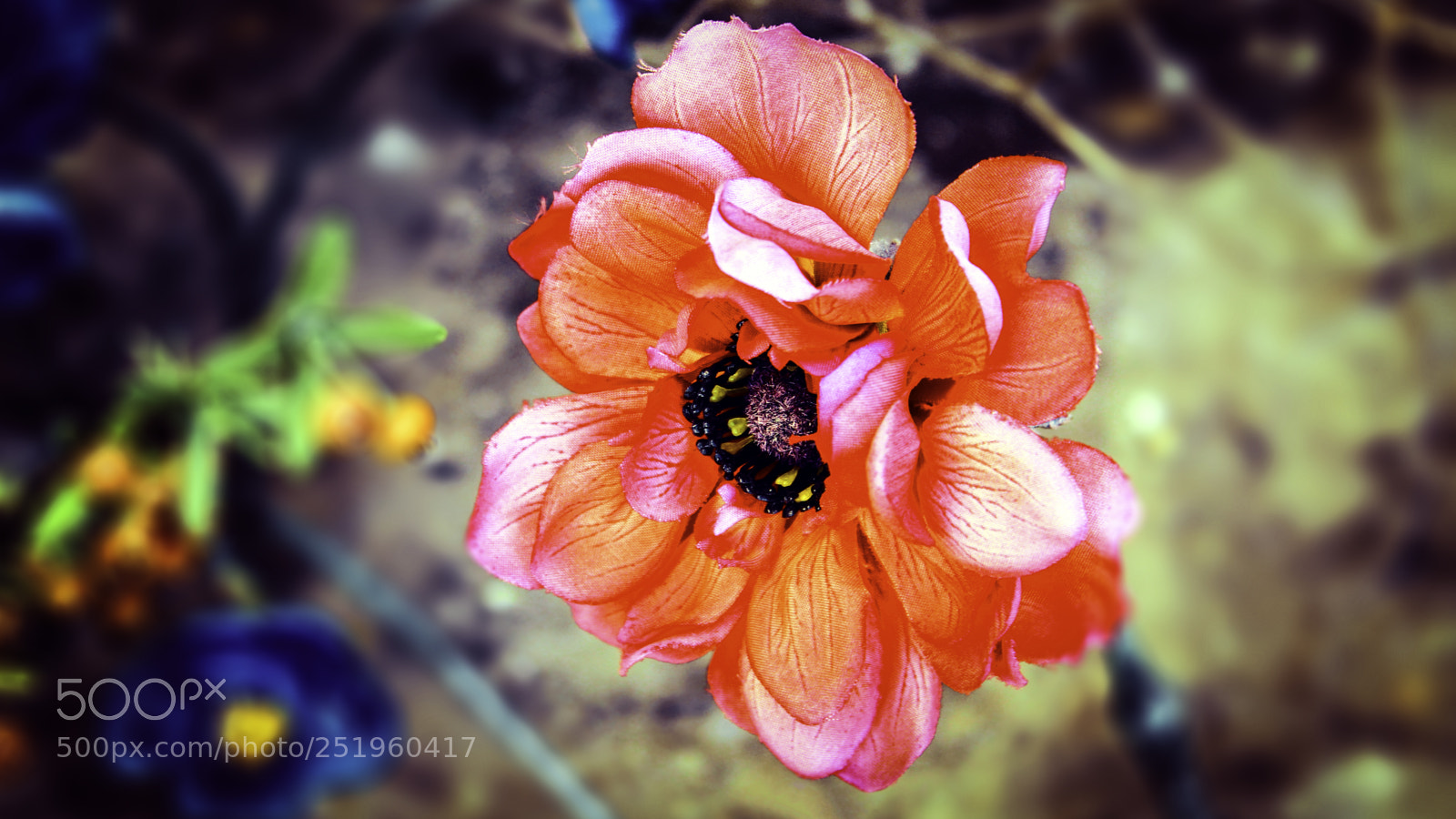 Canon EOS 600D (Rebel EOS T3i / EOS Kiss X5) sample photo. Artificial flower photography