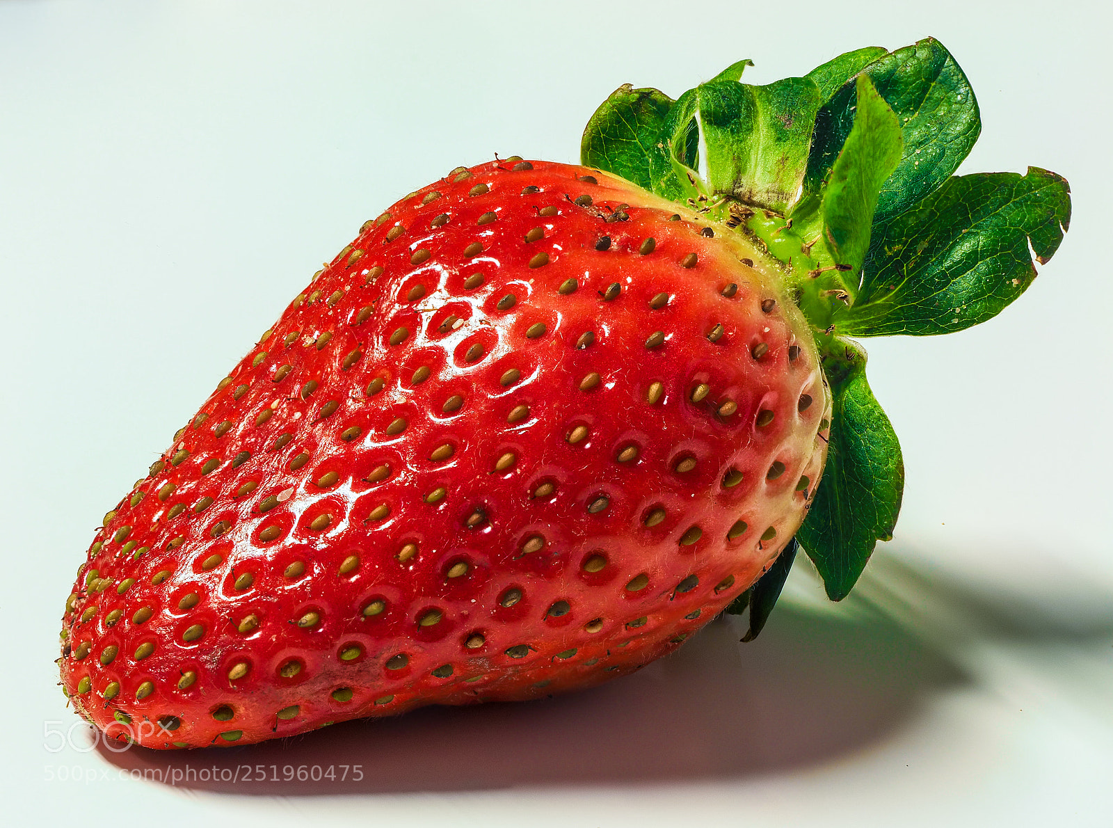Olympus OM-D E-M5 II sample photo. Strawberry photography