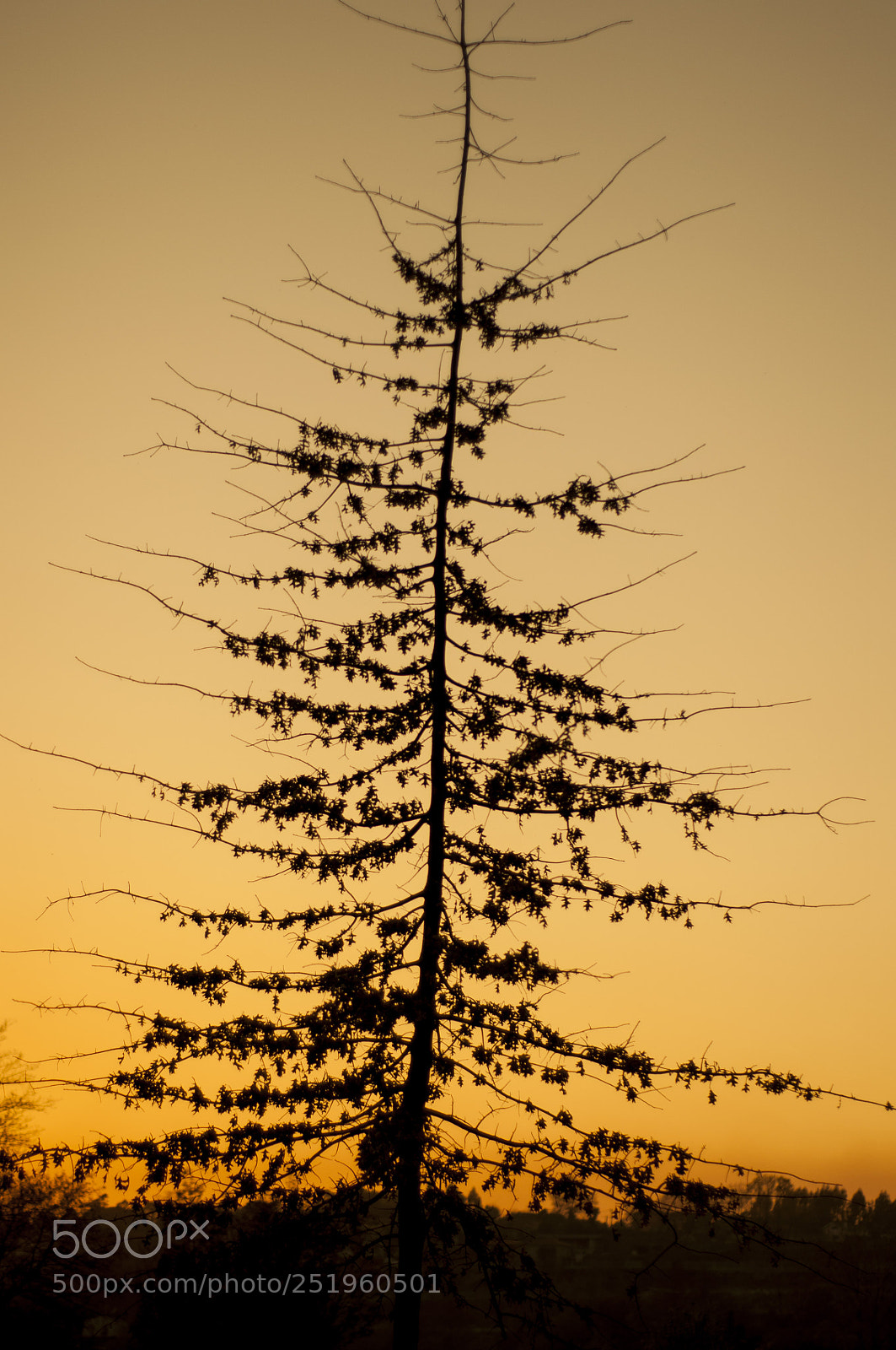 Nikon D90 sample photo. Sunset ii photography