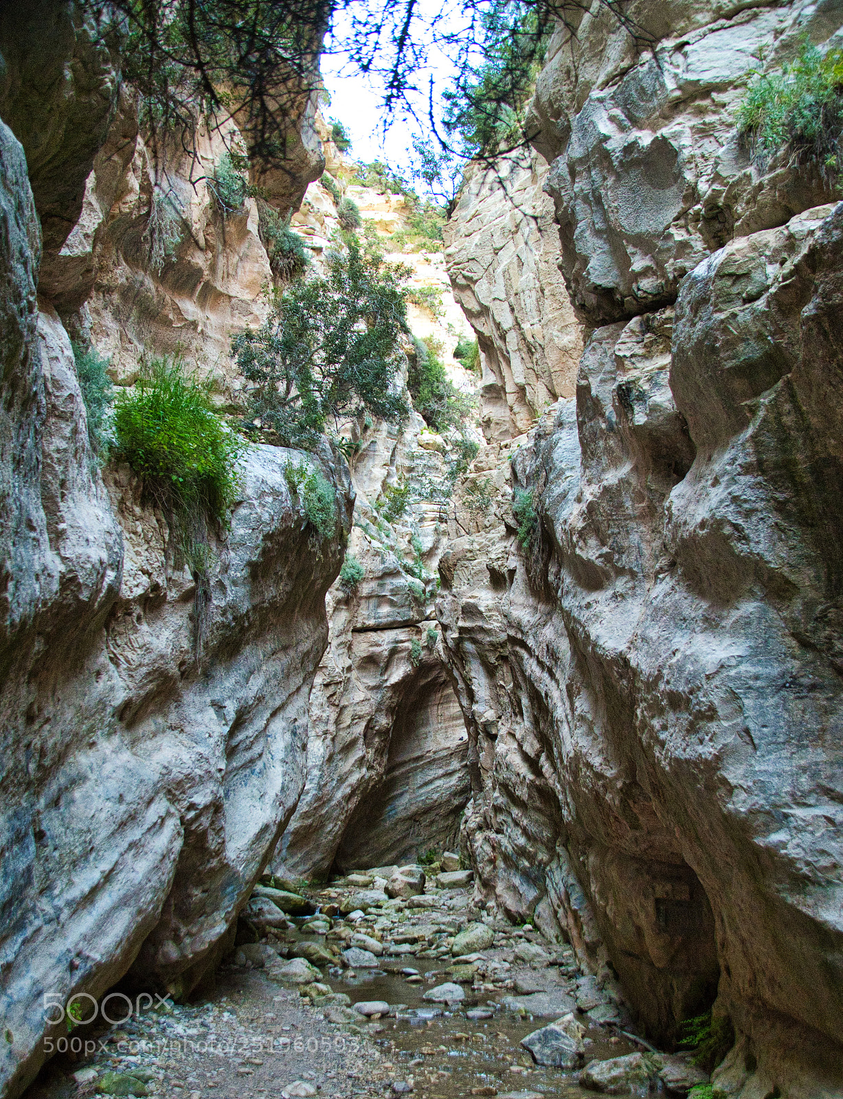 Nikon D500 sample photo. Avakas gorge photography