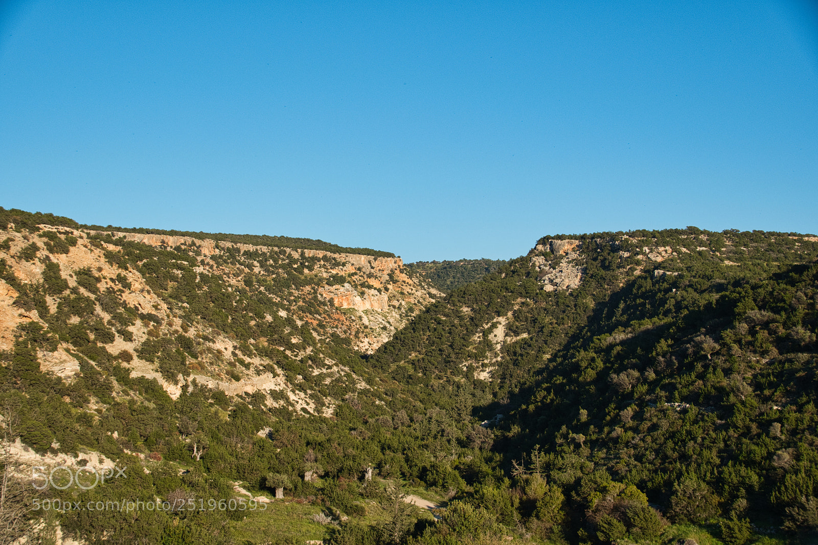 Nikon D500 sample photo. Missing depth, but it photography