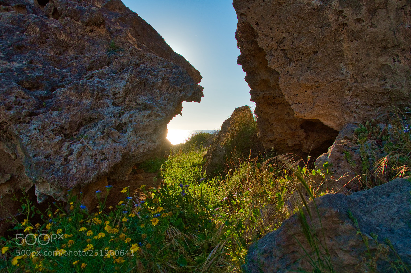 Nikon D500 sample photo. Sun peeking photography